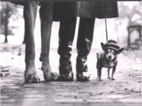 Nein, das sind nicht wir, sondern ein Bild von Elliot Erwitt. Mehr davon hier unter home/bilder (klick the picture)