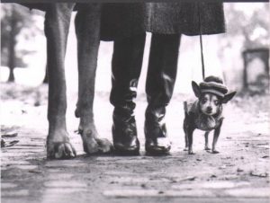 Grosser und kleiner Hund. (c) Elliot Erwitt