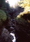 Watkins Glen