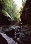 Watkins Glen