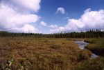 Algonquin Park