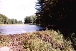 Biber-Damm im Algonquin Park