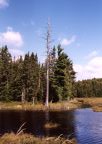 Algonquin Park